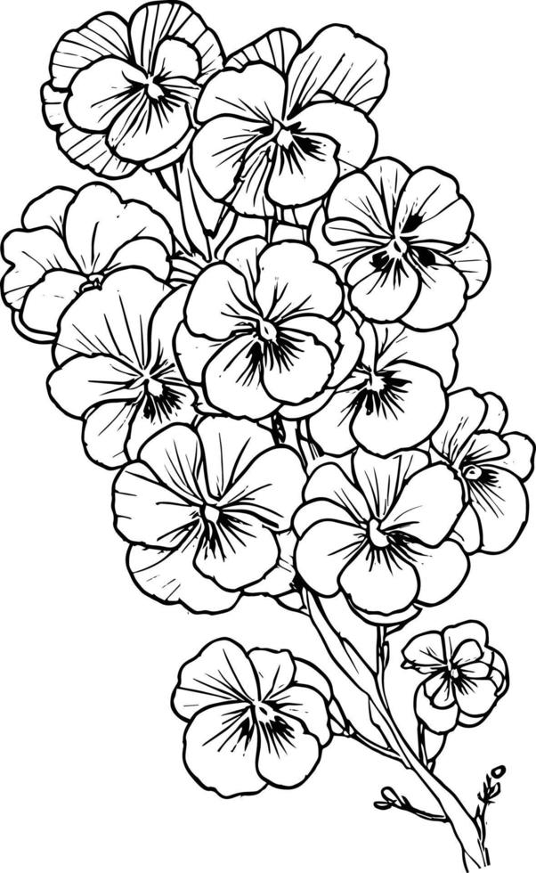 esboço ramalhete do amor-perfeito flores, esboço tolet flor desenho, flor grupo desenho, fácil flor coloração Páginas, flor coloração página para crianças, roxa amores-perfeitos desenho. grampo arte simples amor-perfeito desenhando vetor