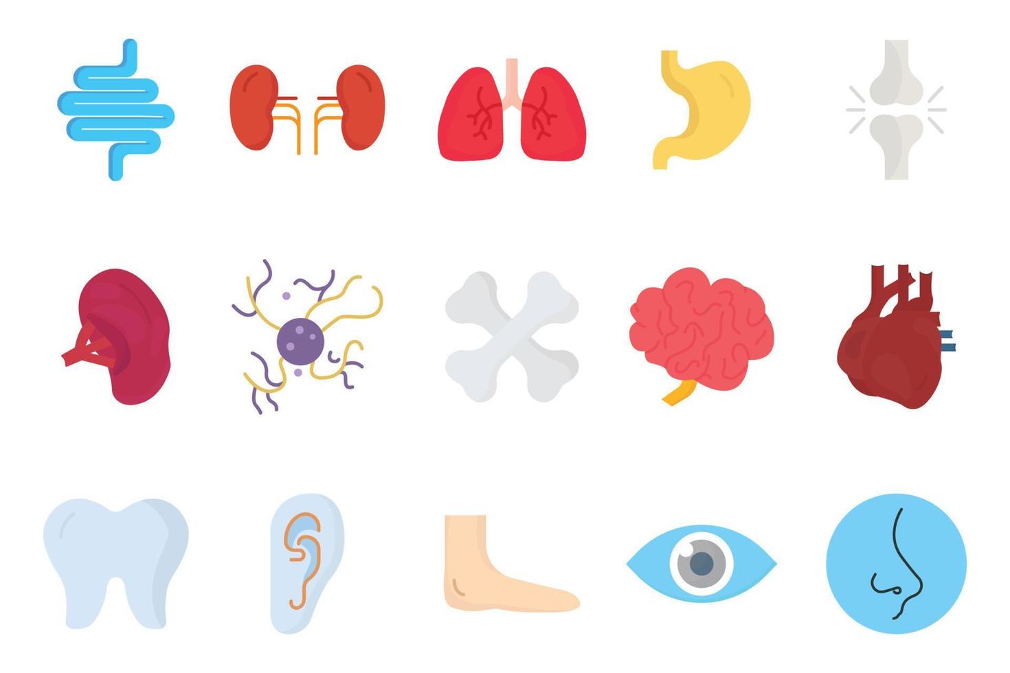 humano órgãos ícone conjunto ilustração. intestinos, rins, pulmões, estômago, articulações, baço, cérebro, fígado, nariz e outros. plano ícone estilo. simples vetor Projeto editável