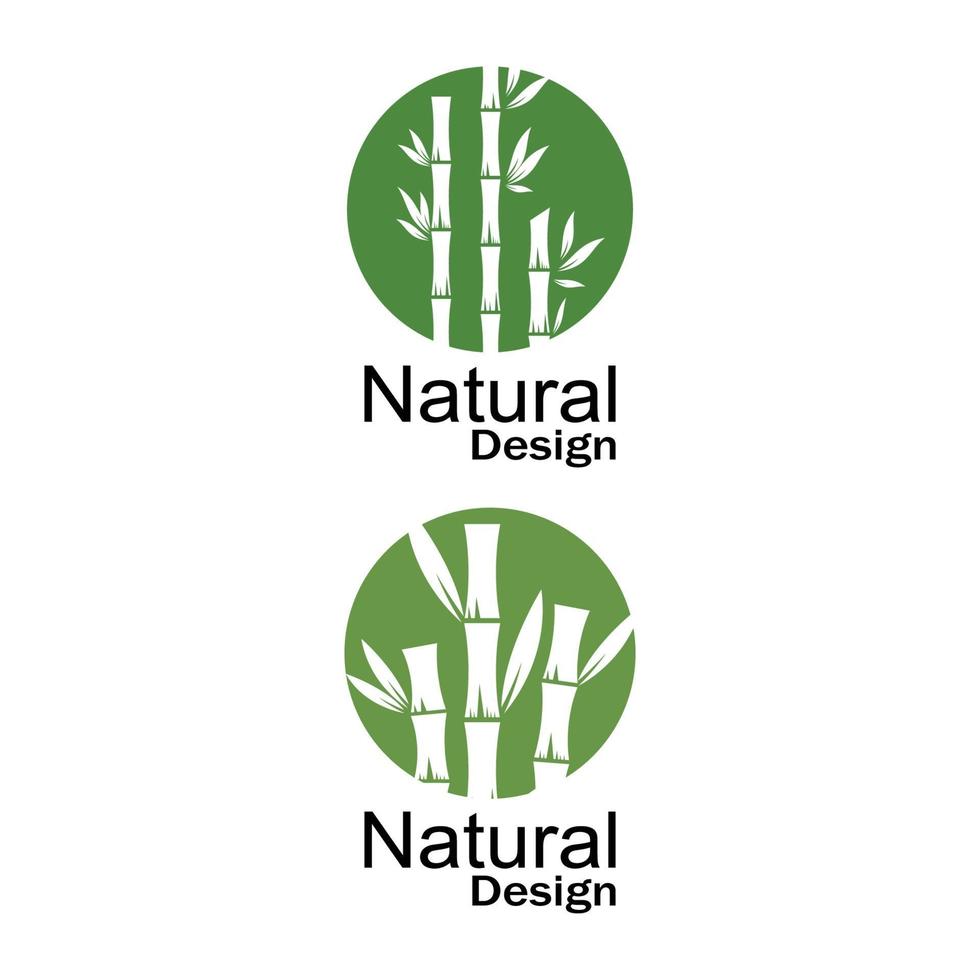 modelo de logotipo de bambu ilustração vetorial ícone design vetor