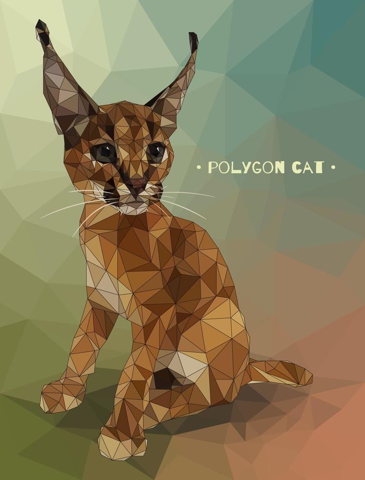 ilustração vetorial no estilo polígono baixo. gatinho caracal. vetor