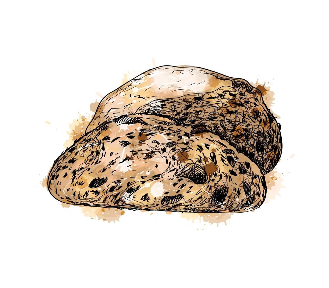 pão com um toque de aquarela, esboço desenhado à mão. ilustração vetorial de tintas vetor