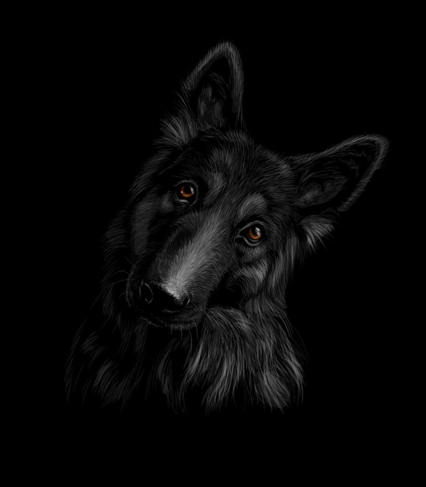 retrato de um cão pastor alemão em um fundo preto. ilustração vetorial vetor