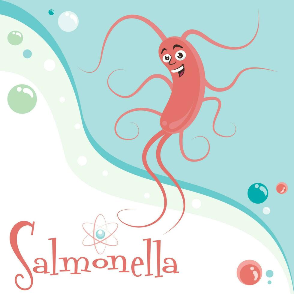 desenho animado personagem do salmonela bactérias educacional vetor gráfico