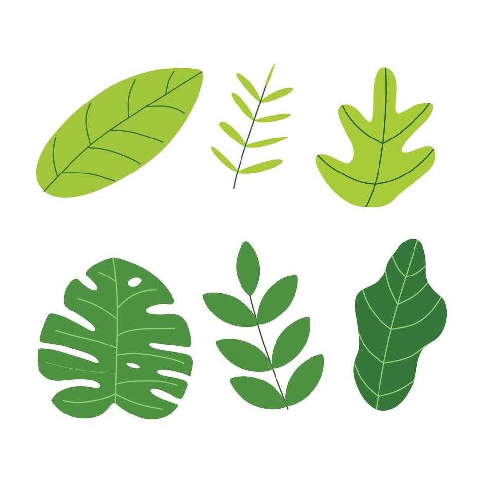 verde folha ícone ilustração para natureza tema vetor