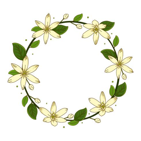 Ilustração de fundo de flor de jasmim de grinalda vetor
