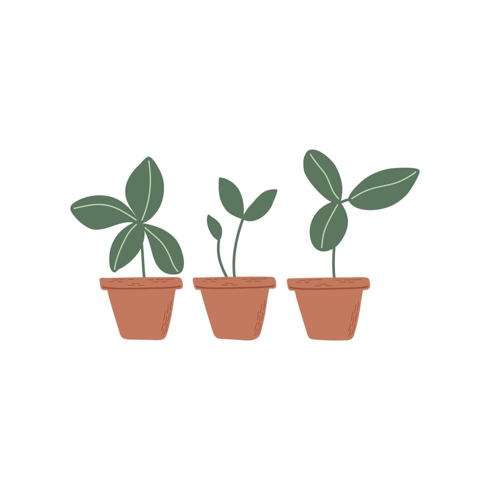 panelas com brotos. conjunto do simples plantas com verde folhas dentro Castanho potes. verde brotos crescendo Fora a partir de solo. mão desenhado vetor ilustração.