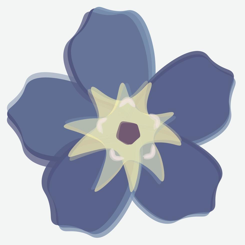 ilustração da cabeça de flor azul do forgetmenot, isolada em um fundo branco, close-up. vetor