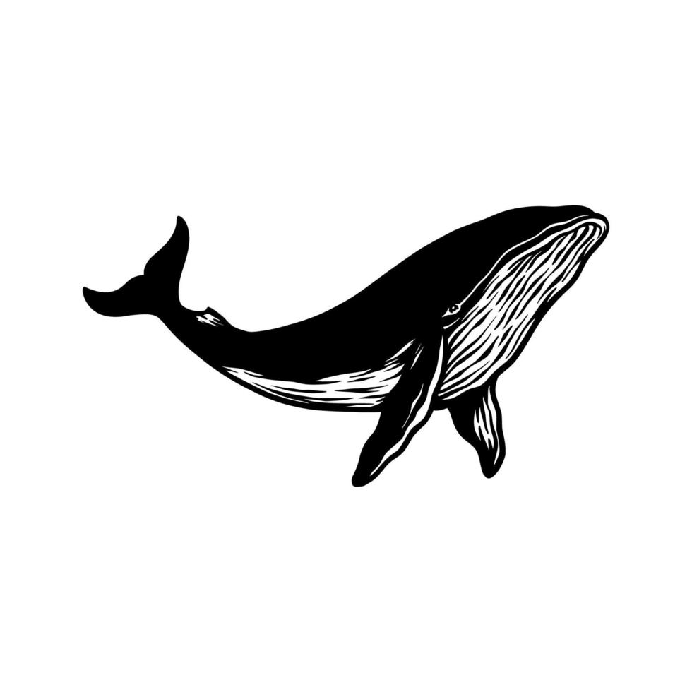 silhueta de peixe baleia desenhada à mão vetor