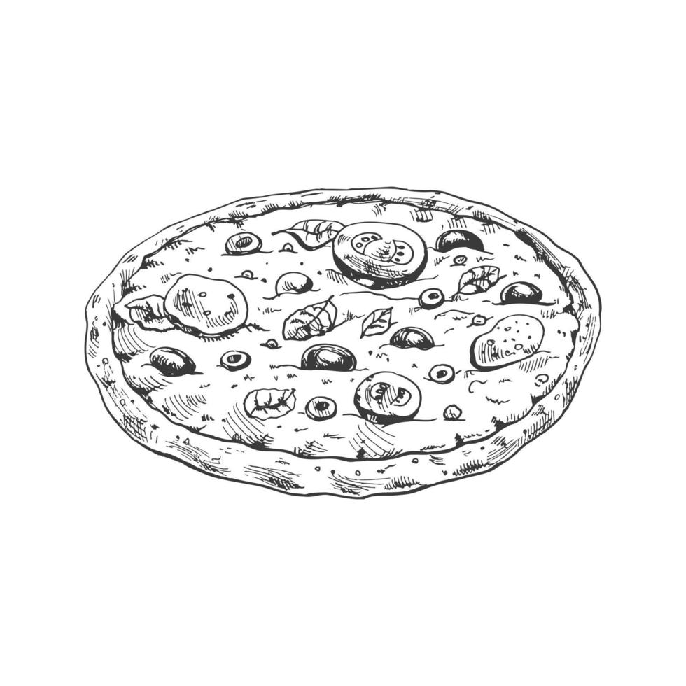 desenhado à mão esboço estilo pizza margherita. tradicional italiano cozinha. massa, tomate molho, derretido mozzarella queijo, manjericão folhas, tomates. vintage ilustração. vetor