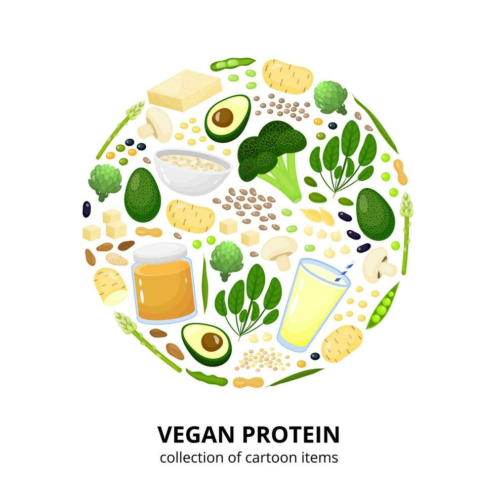 vegano proteína fontes dentro círculo. vetor