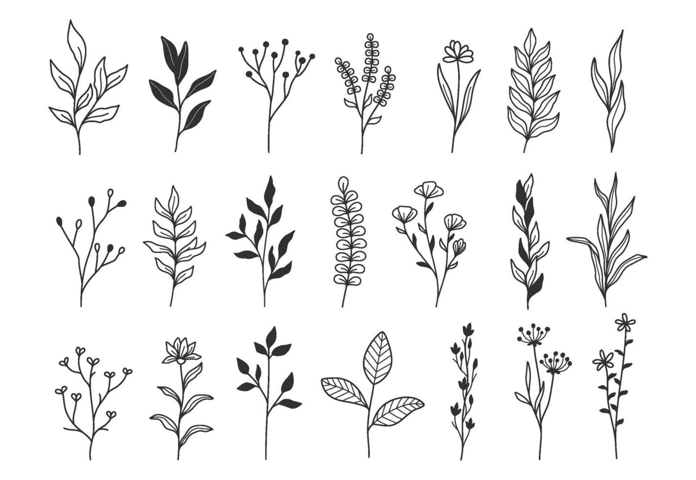 plantas e flores, ilustrações botânicas vetor