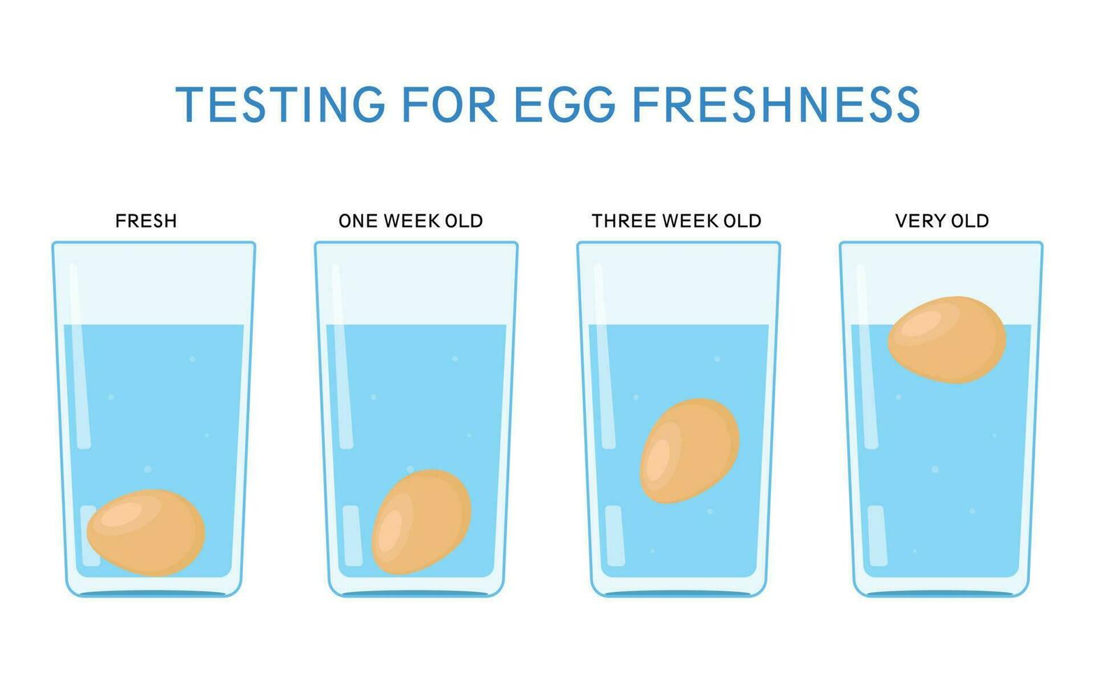 Ciência experimentar com água. teste para ovo frescor vetor