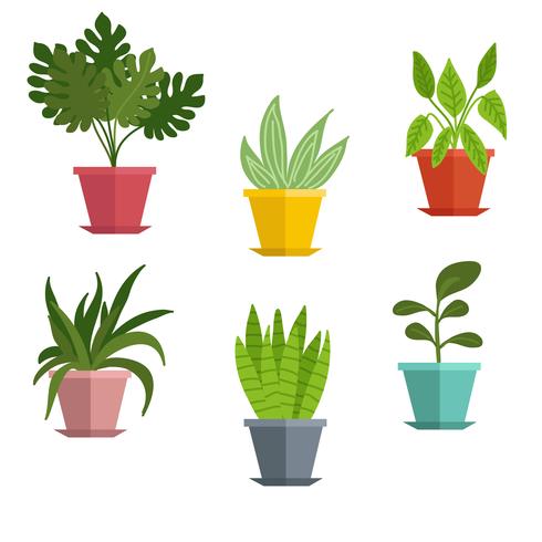 Conjunto de plantas em vaso Vector