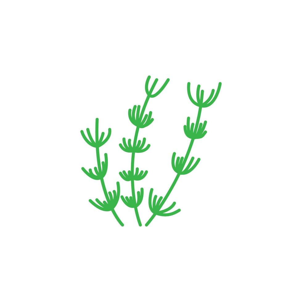 ícone de vetor de ervas
