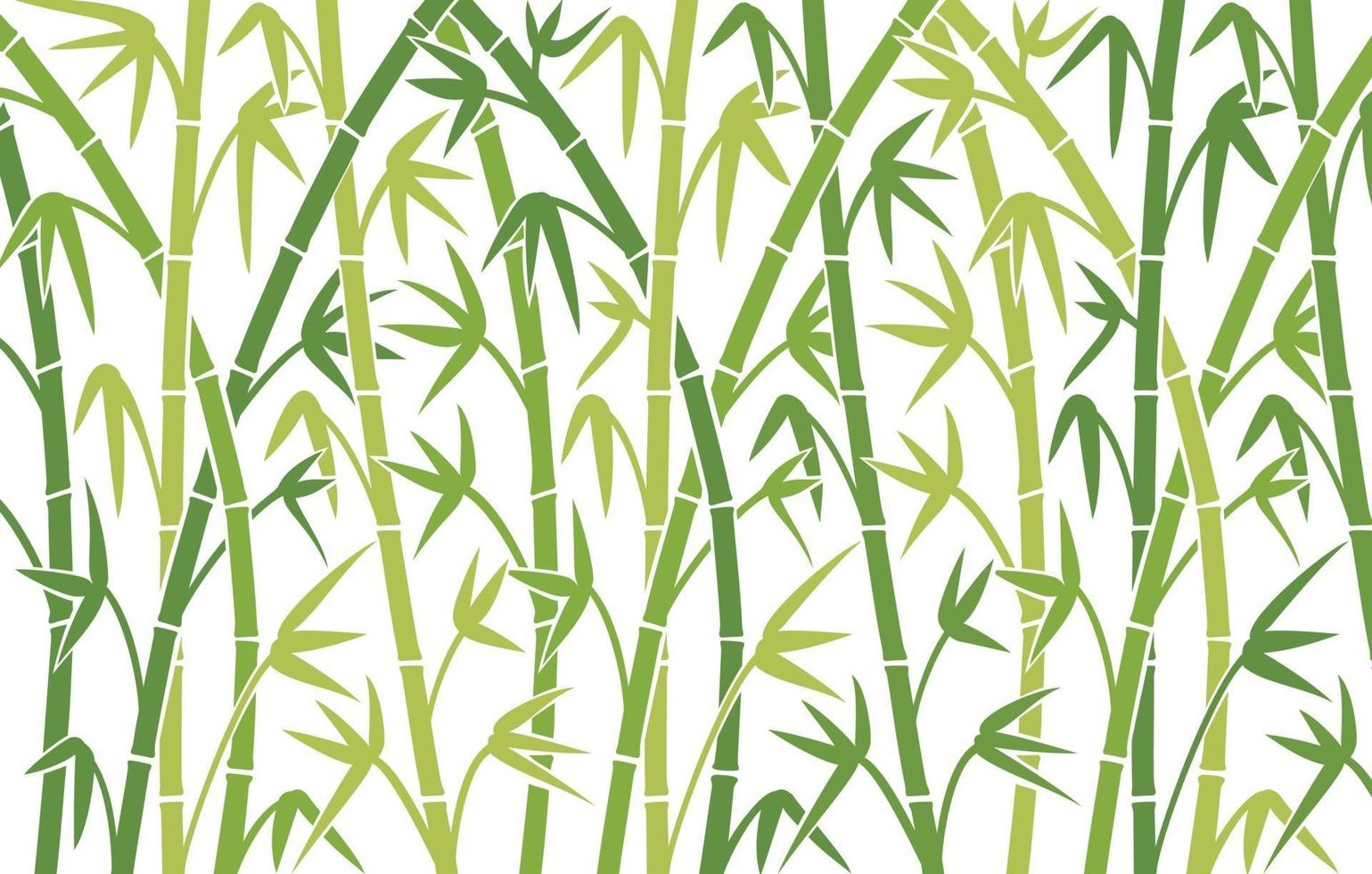 desenho de fundo de bambu vetor