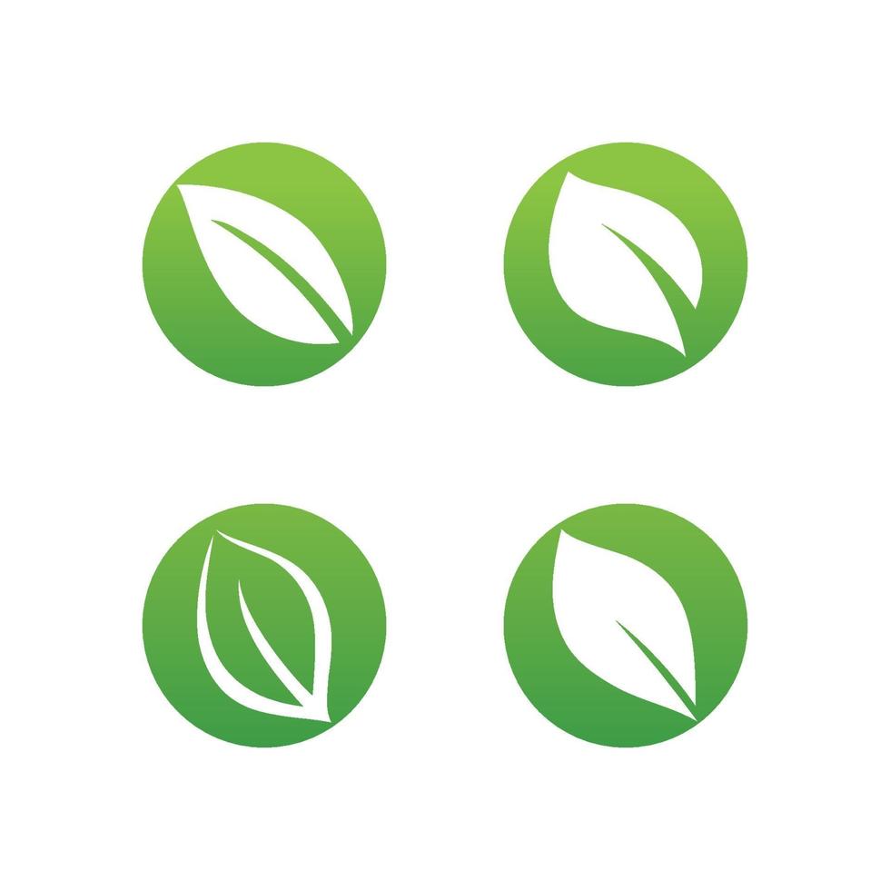 logotipos da ecologia de folhas verdes vetor