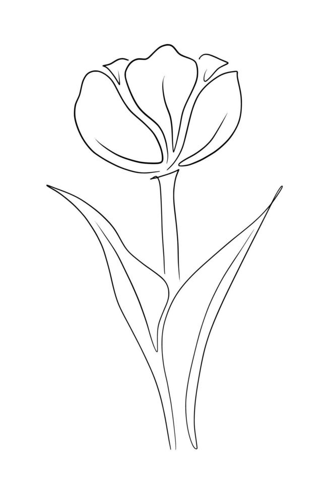 tulipas linha arte desenhando vetor