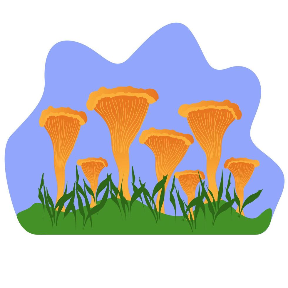 vermelho chanterelle cogumelos, floresta plantas, isolado vetor ilustração