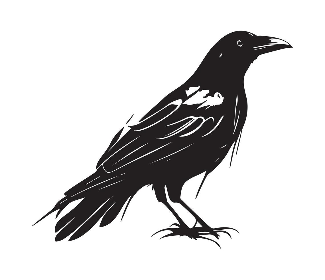 Preto pássaros Raven, corvo, torre ou gralha. vetor ilustração dentro retro estilo