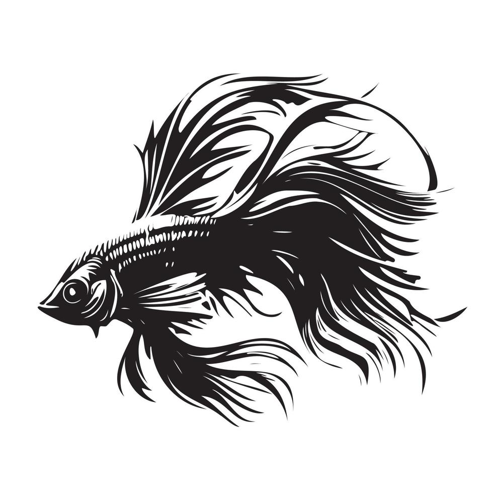 betta peixe vetor ilustração, brigando peixe logotipo Projeto