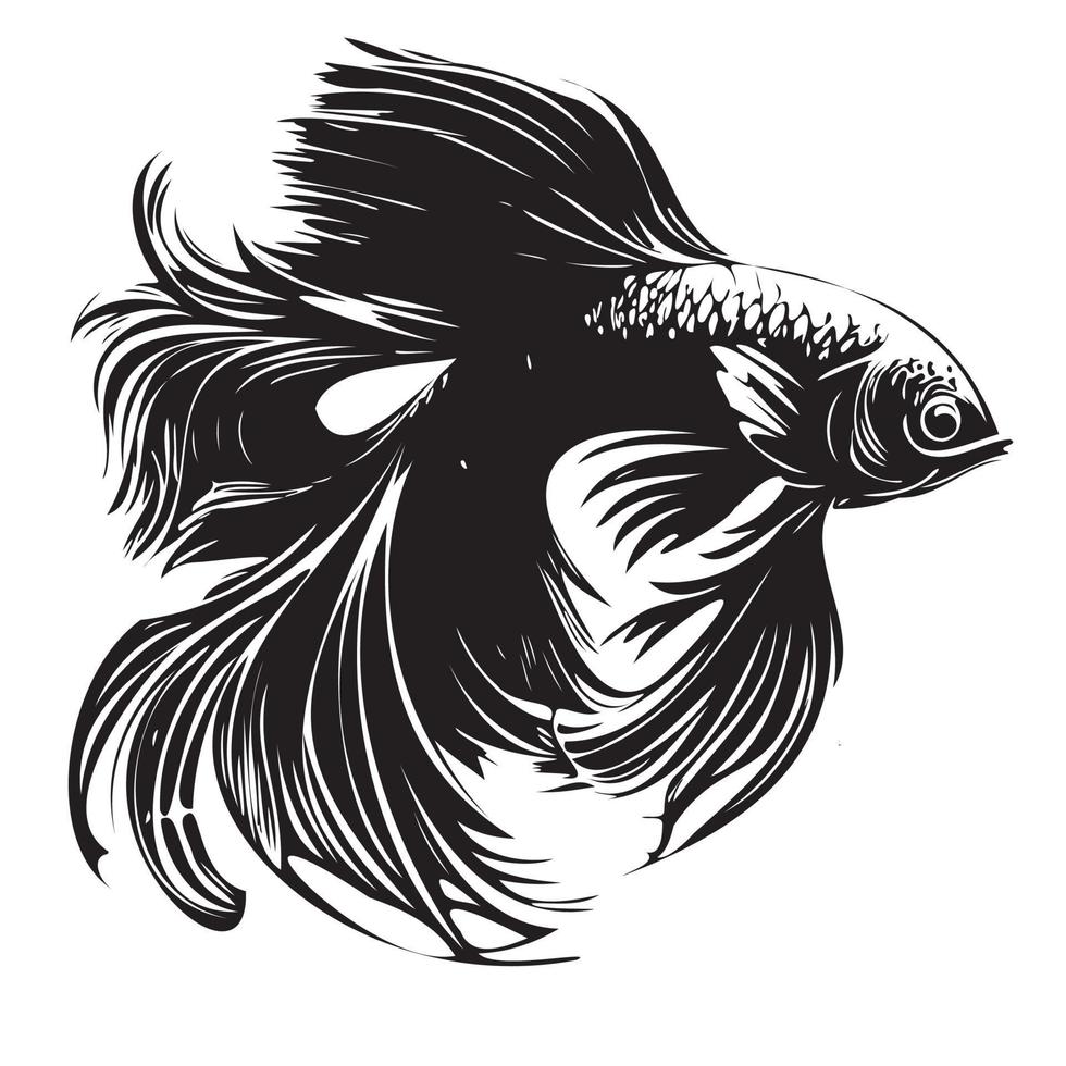 betta peixe vetor ilustração, brigando peixe logotipo Projeto