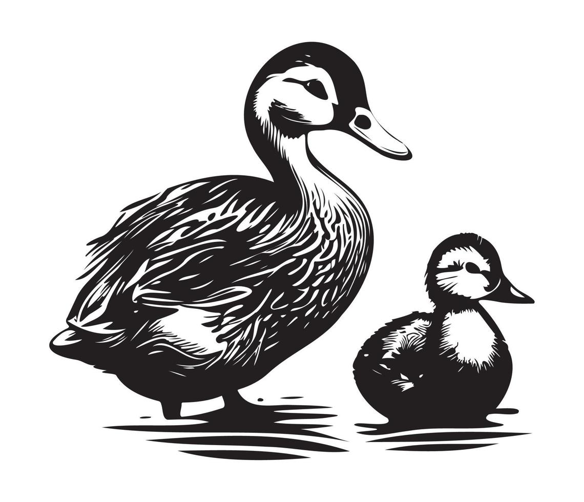 Pato com patinho, mãe e bebê pato, Pato natação dentro a lago ilustração vetor