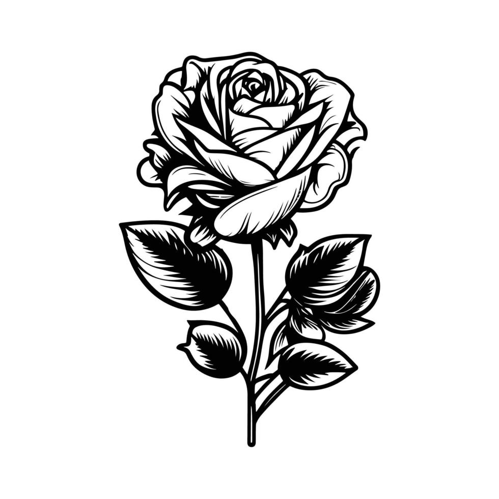 mão desenhado rosas. esboço rosa flores com folhas. Preto e branco vintage gravura vetor botânico