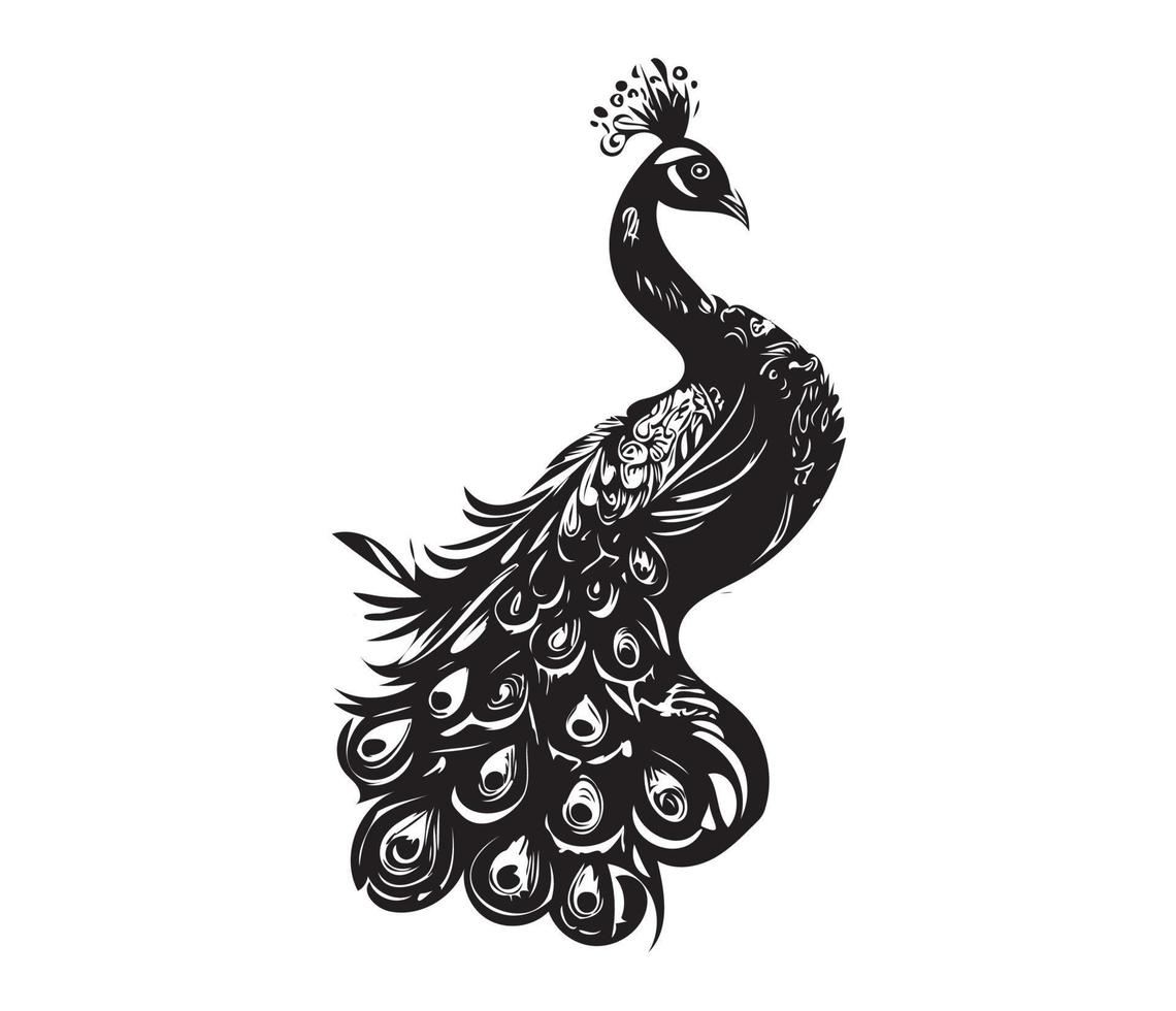 monocromático pavão. animal pássaro vetor ilustração, pavão arte Projeto