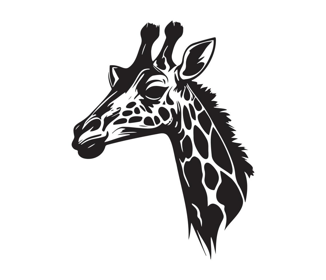 girafa face, silhuetas girafa face, Preto e branco girafa vetor