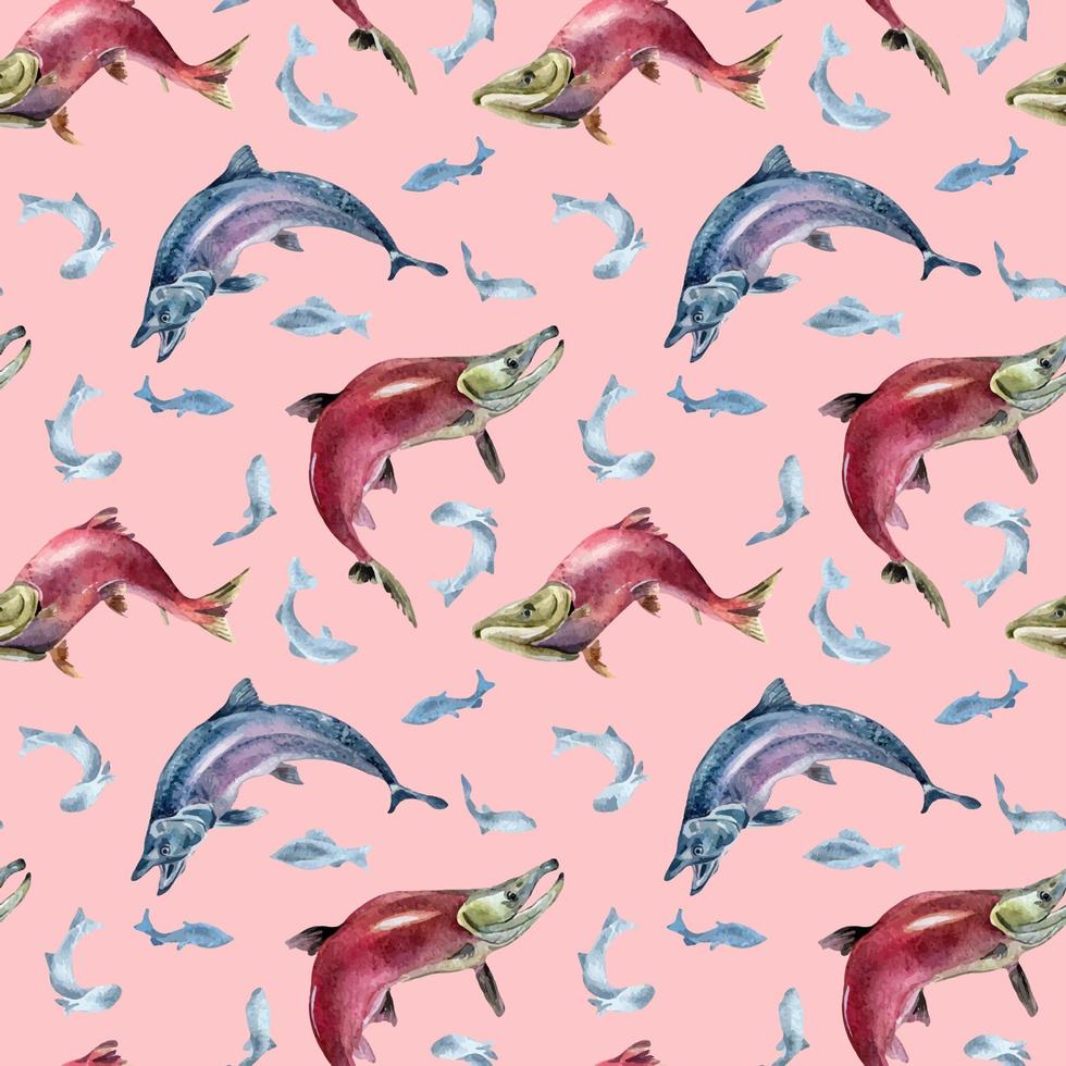 desatado padronizar do salmão, coho, amigo aguarela ilustração isolado em Rosa. vetor