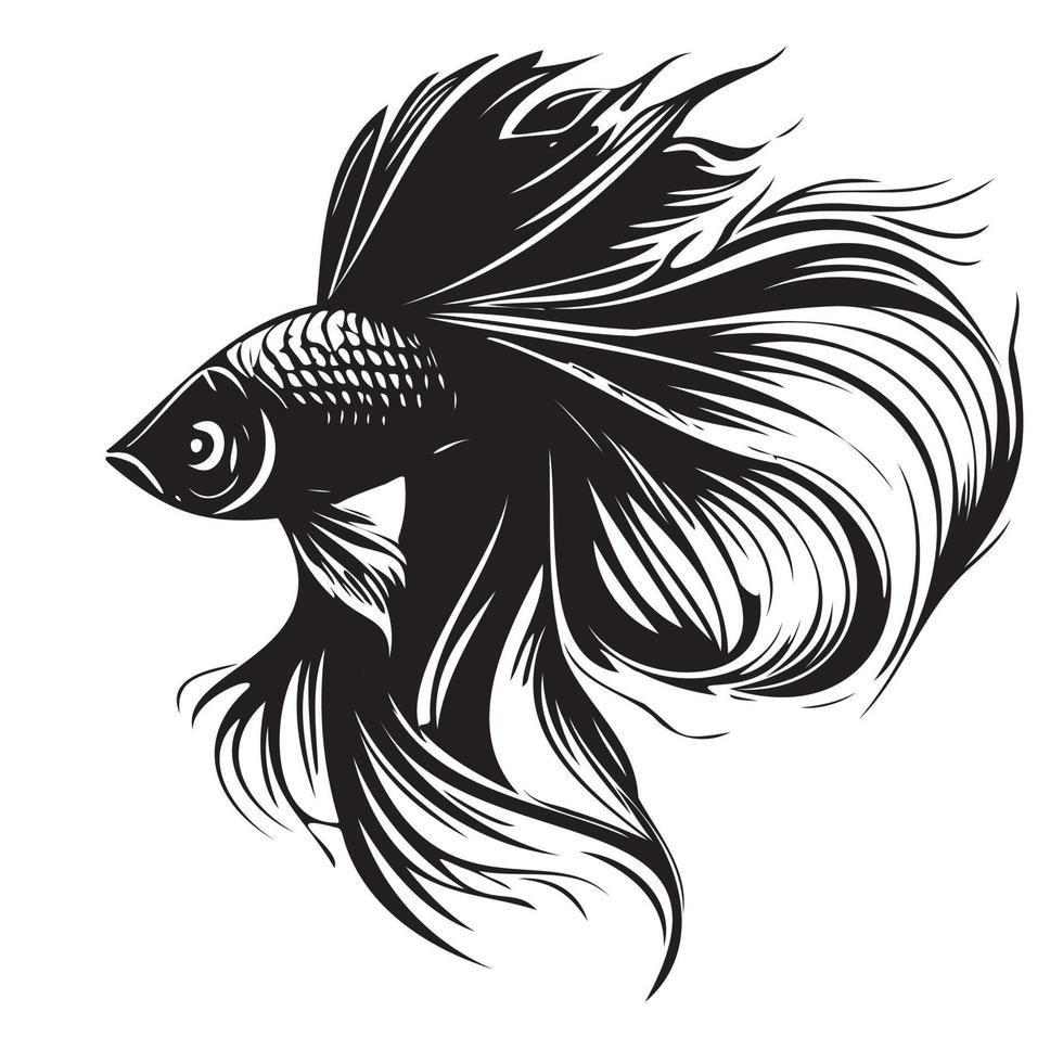 betta peixe vetor ilustração, brigando peixe logotipo Projeto