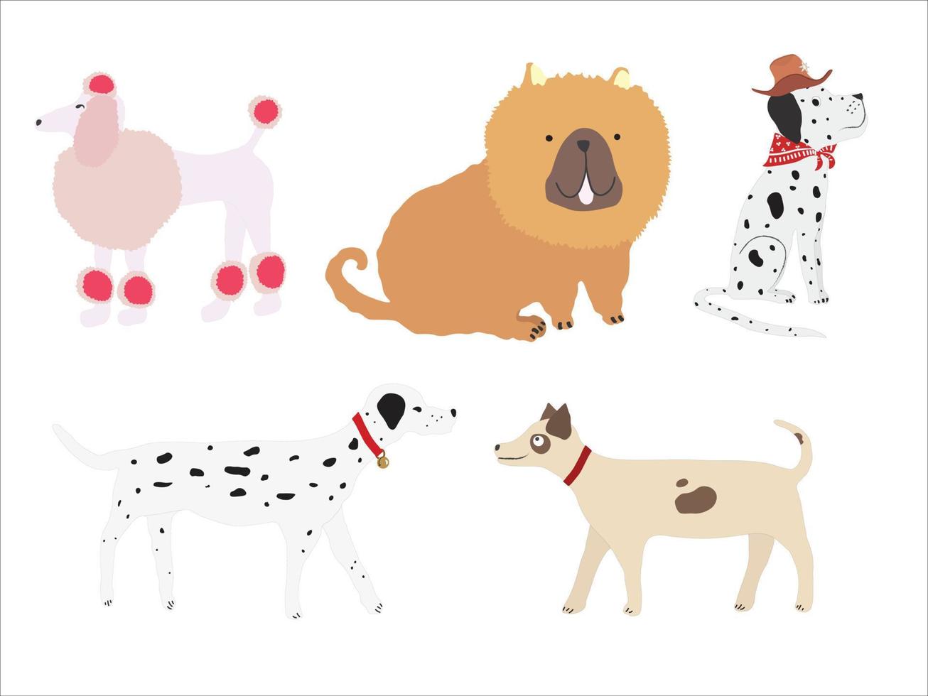 conjunto do 5 fofa cachorros cor vetor dentro desenho animado estilo. fofa animal para cachorro amante.