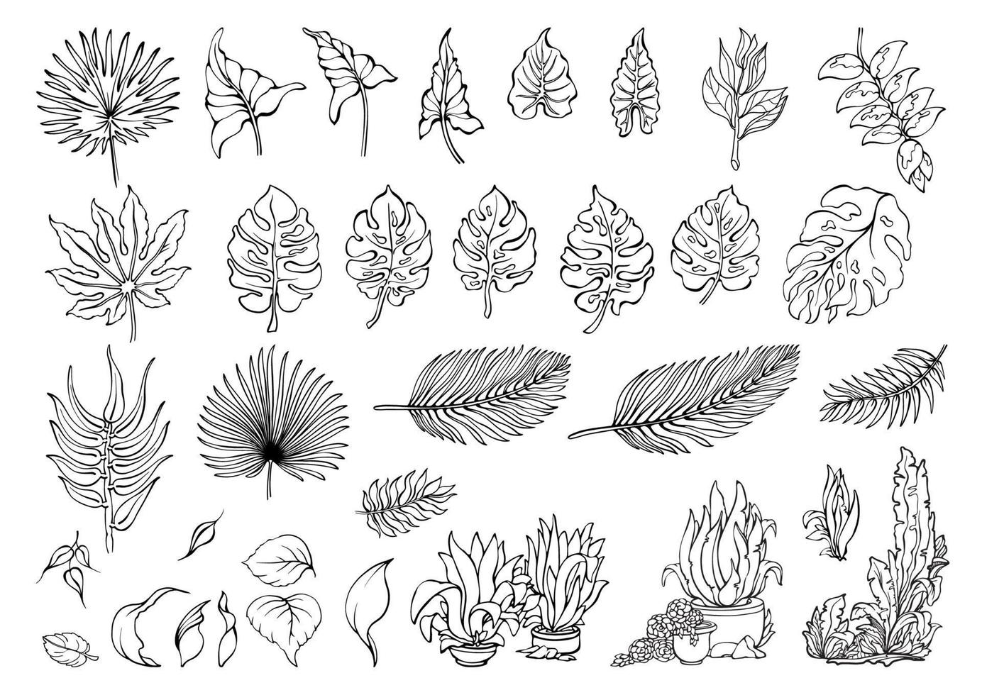 tropical folhas definir. exótico plantas dentro rabisco estilo. vetor ilustrações.