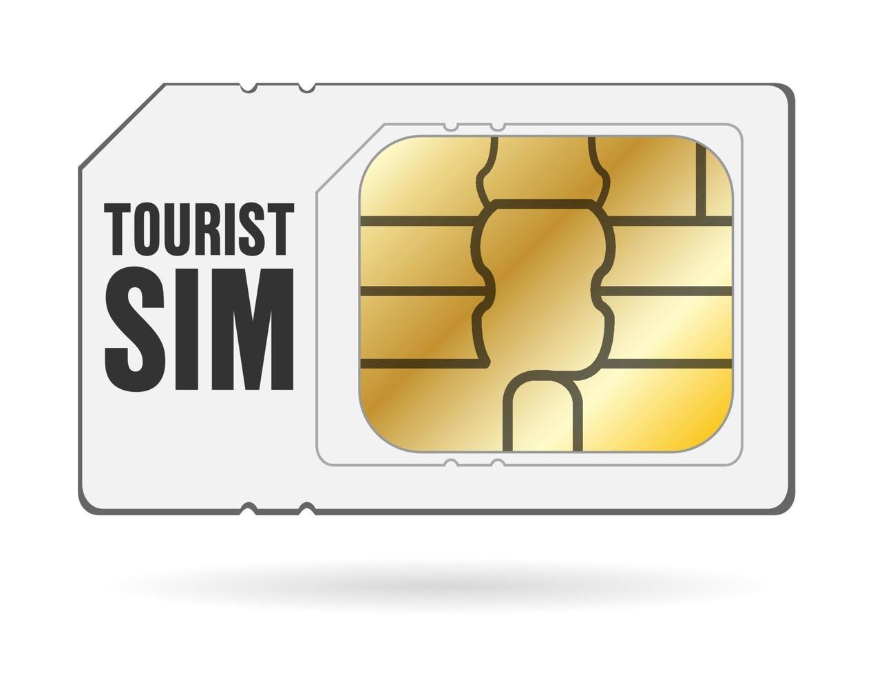 cartão sim do smartphone do turismo global de viagens vetor
