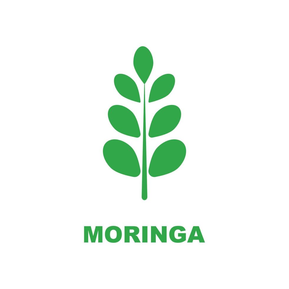 logotipo de folha de moringa verde, para ingredientes à base de plantas, agricultura de moringa, saúde, indústria de medicamentos, beleza, terapia, modelo de ícone de ilustração vetorial de design de conceito com um conceito moderno vetor