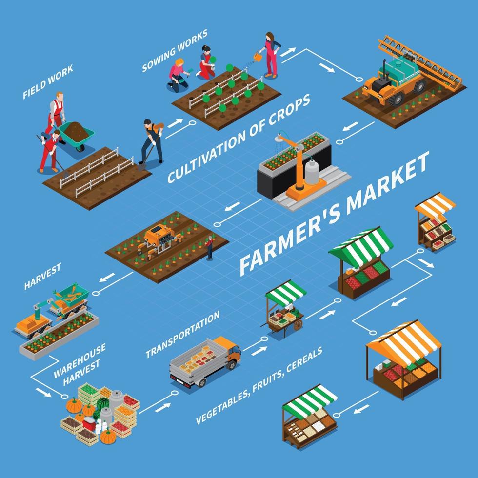 ilustração em vetor conceito fluxograma mercado de agricultores
