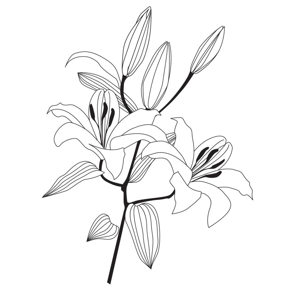 flor lírio isolado sobre fundo branco. estampa floral. decoração floral para design de cartão, ilustração botânica do jardim vetor