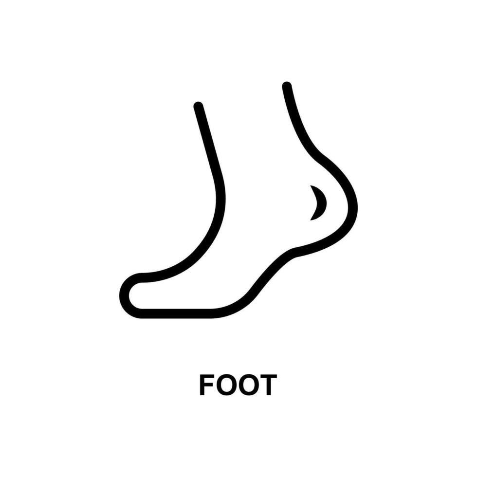 humano pé simples linha vetor ícone