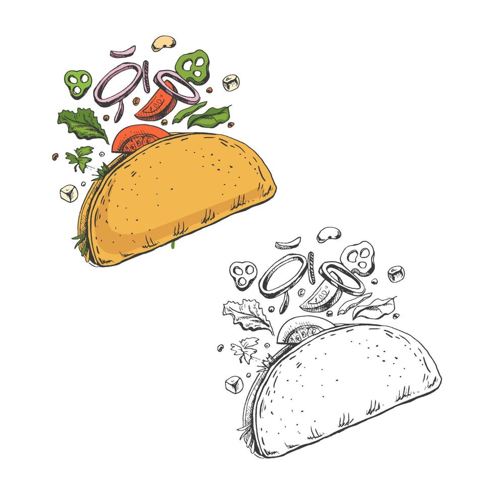desenhado à mão colori e monocromático esboço conjunto do taco em branco fundo. vôo ingredientes. cebola argolas, tomate, pepino, feijões, tortilla. velozes Comida vintage ilustração. vetor