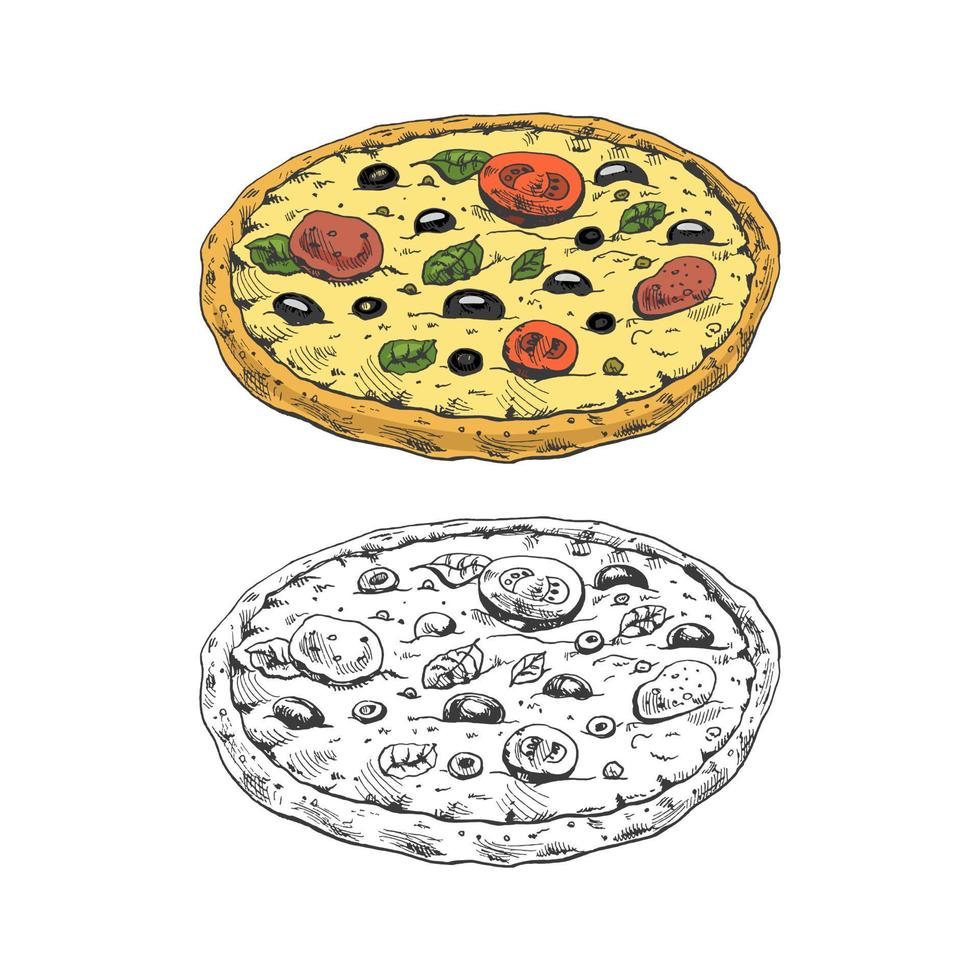 desenhado à mão colori e monocromático esboço do pizza margherita. tradicional italiano cozinha. massa, tomate molho, derretido mozzarella queijo, manjericão folhas, tomates. vintage ilustração. vetor