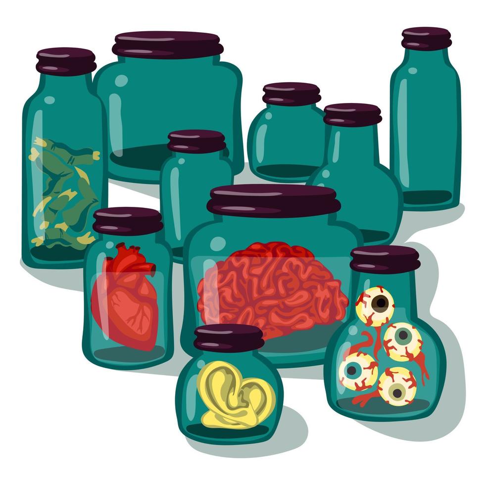 uma coleção do órgãos e espécimes armazenado dentro vidro frascos. a frascos conter humano ouvidos, olhos, cérebros, corações, e zumbi dedos. esvaziar containers para peças. bruxas. ilustração para dia das Bruxas. vetor