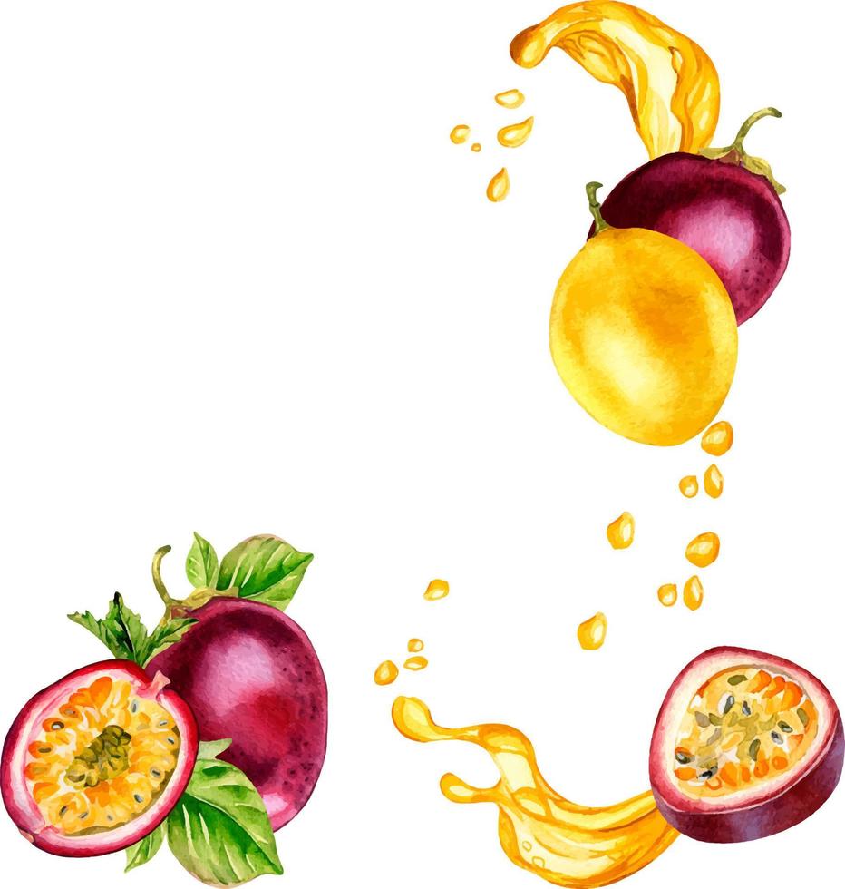 quadro, Armação do paixão frutas e respingo suco aguarela ilustração isolado em branco fundo. vetor