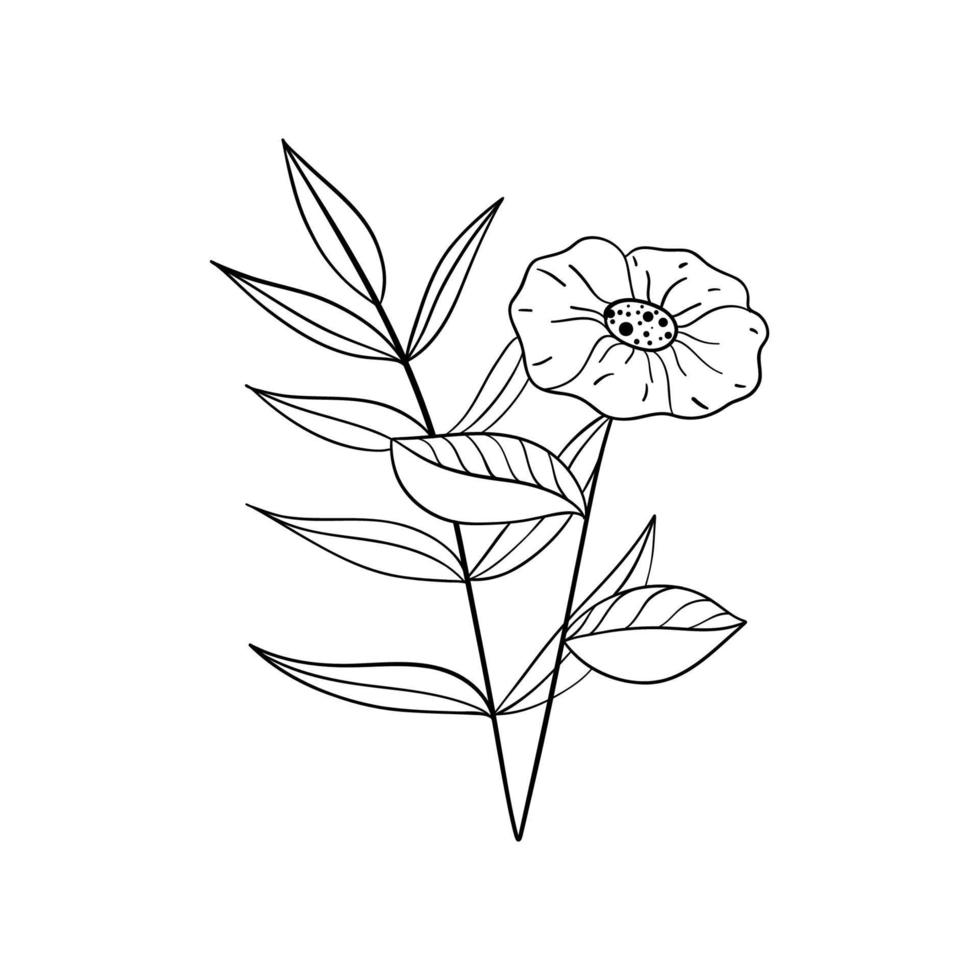 vetor ilustração isolado em branco fundo. Preto linhas flores ícones definir. vetor isolado floral elementos.