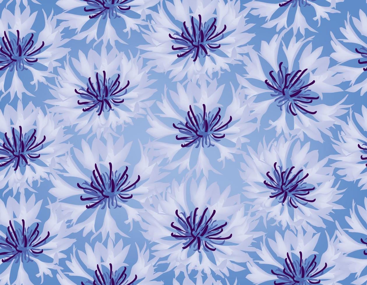 padrão floral sem emenda. fundo azul centáurea flor. vetor