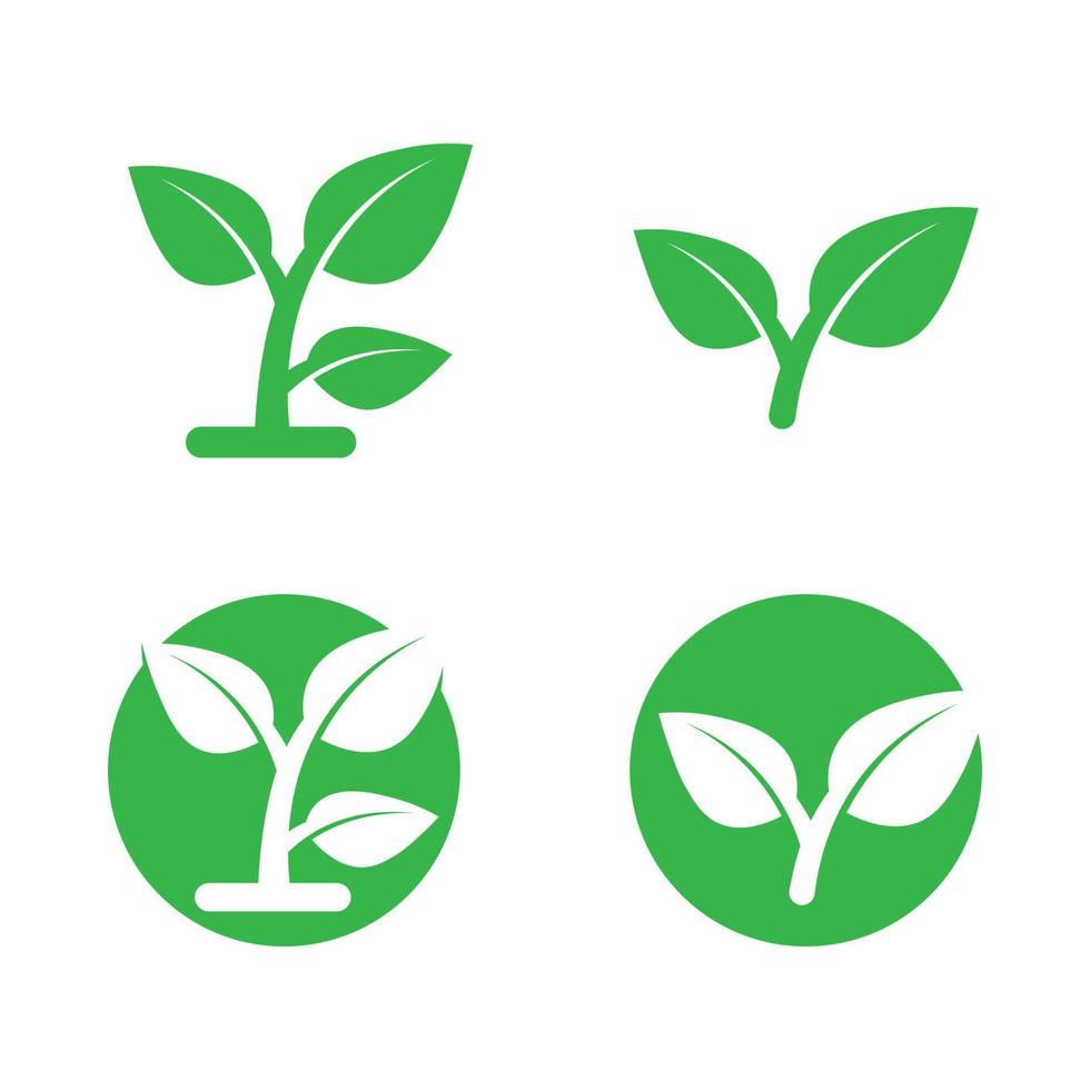 design de ilustração vetorial de ícone de logotipo de árvore silhueta vetorial de uma árvore de modelos de logotipo de árvore e raízes de árvore de ilustração de design de vida vetor