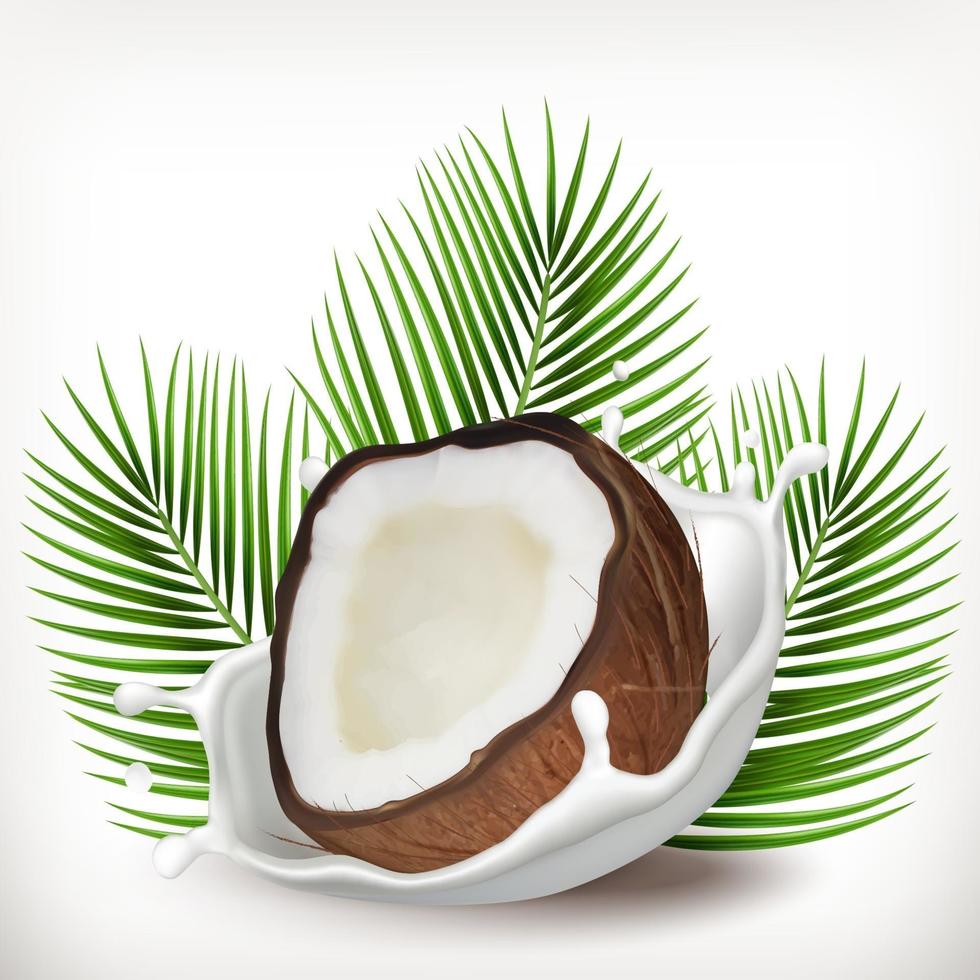coco e leite respingos com folhas de palmeira. ilustração realista. Ícone de vetor 3D