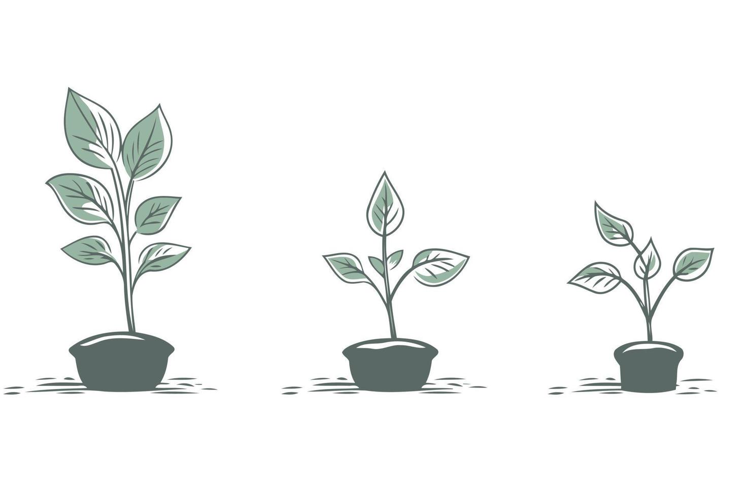 três plantas crescendo dentro três panelas vetor