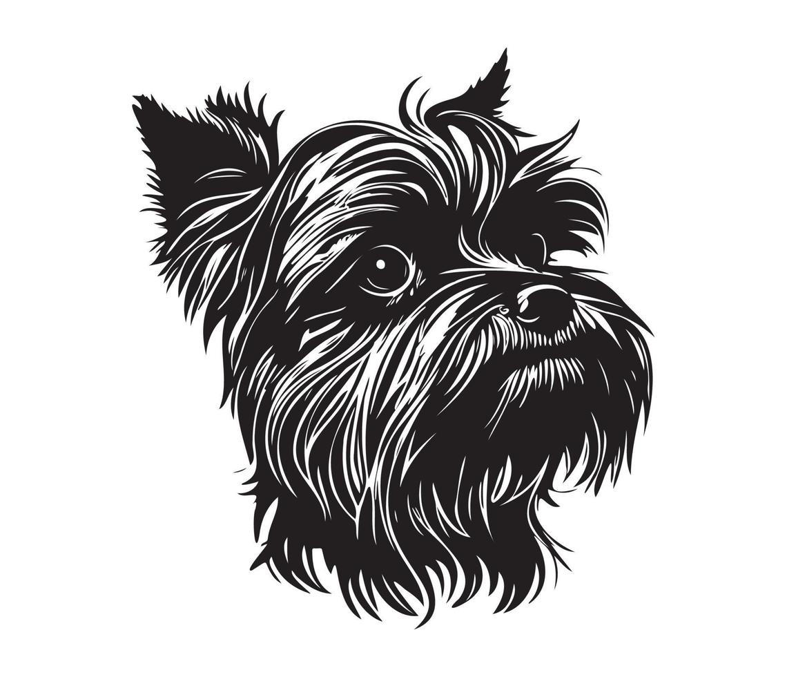 Affenpinscher face, silhuetas cachorro face, Preto e branco Affenpinscher vetor