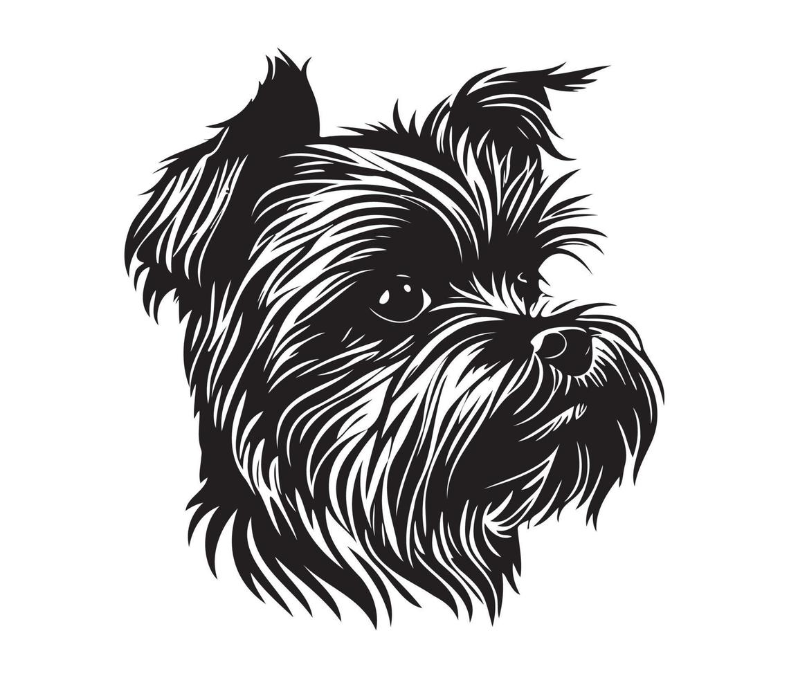 Affenpinscher face, silhuetas cachorro face, Preto e branco Affenpinscher vetor