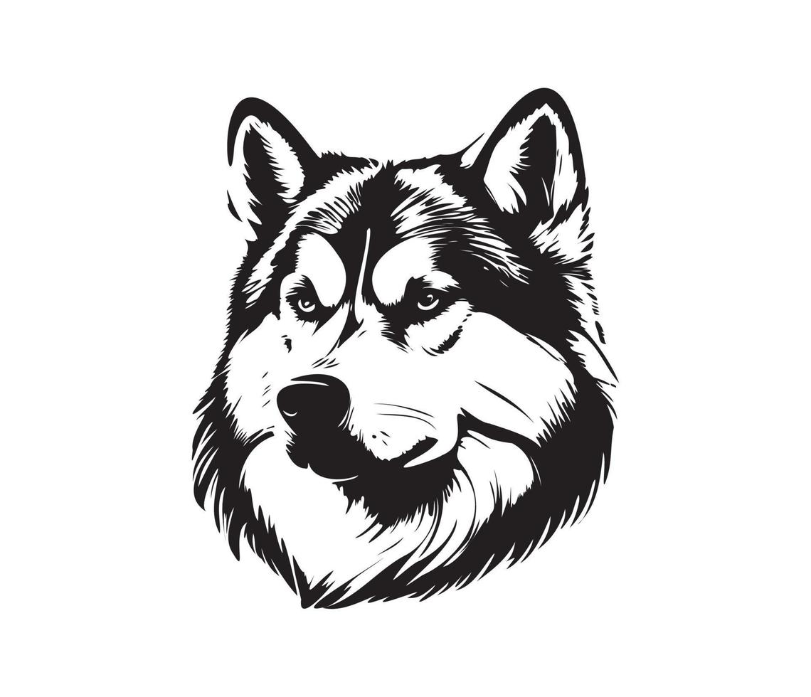 alaskan malamute face, silhuetas cachorro face, Preto e branco alaskan malamute vetor